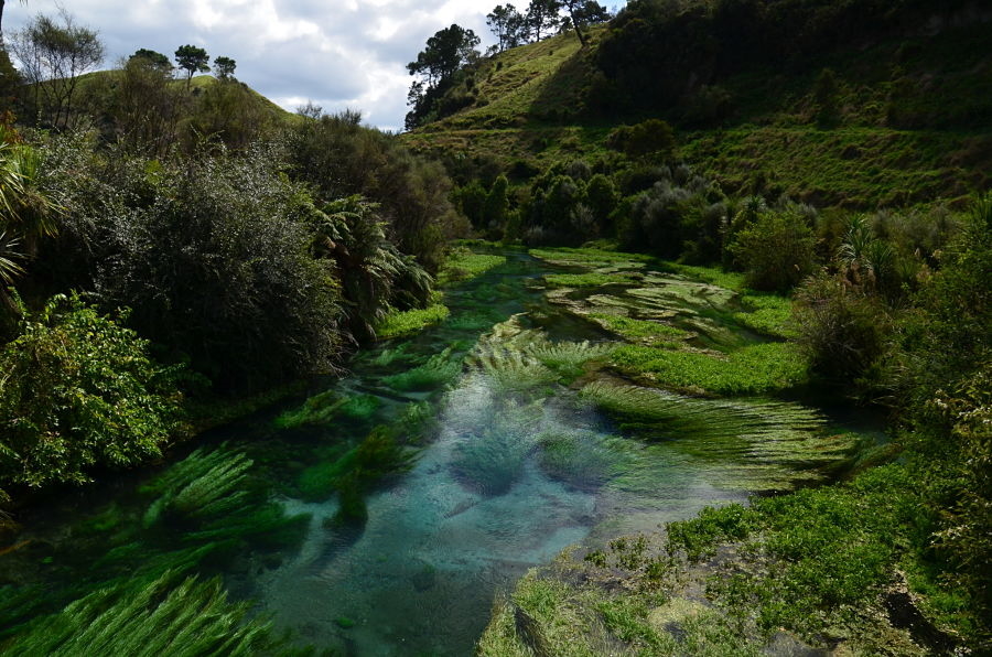 The Blue Spring